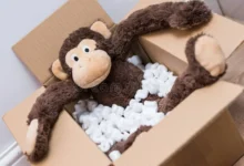 monkey holding box