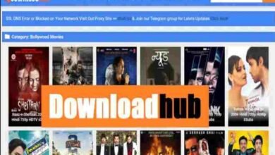 DownloadHub4U VIP