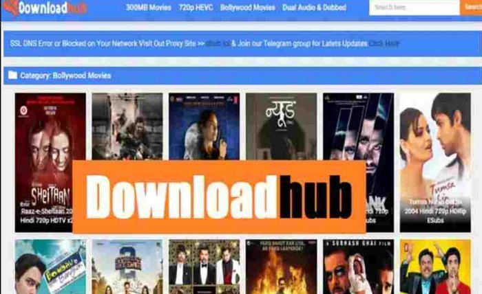 DownloadHub4U VIP